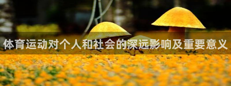 新球体育法国杯联赛资料：体育运动对个人和社会的深远影响及重要意义