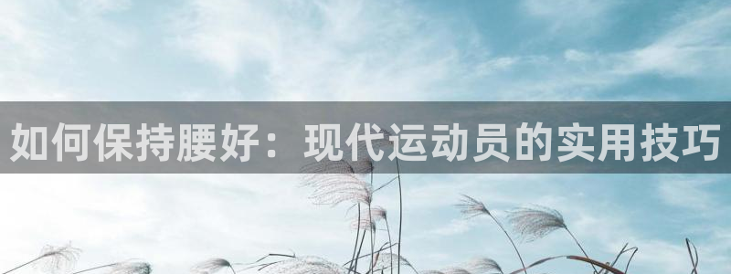 新球体育苹果版