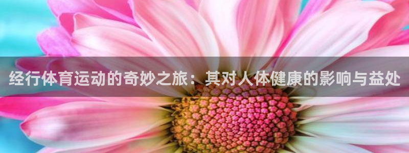 新球体育app官方正版