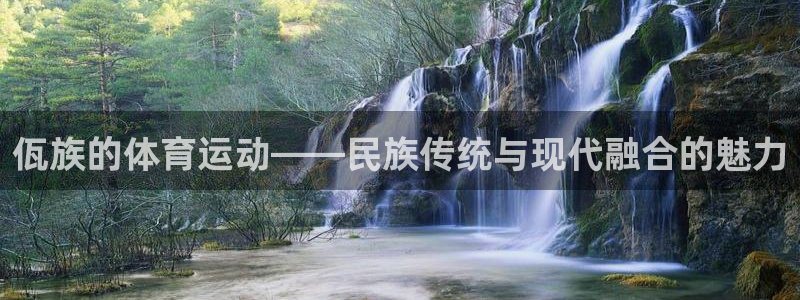 新球体育欧冠杯联赛资料