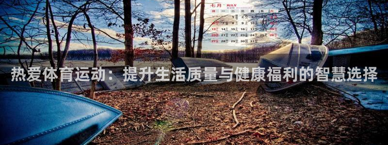 新球体育足球比分实时赛况：热爱体育运动：提升生活质量与健康福利的智慧选择