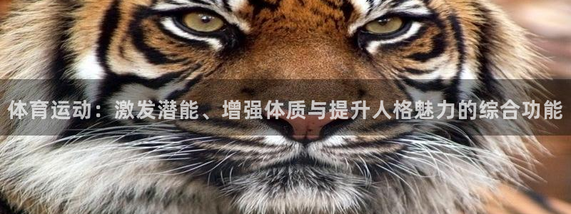 新球体育观网：体育运动：激发潜能、增强体质与提升人格魅力的综合功能