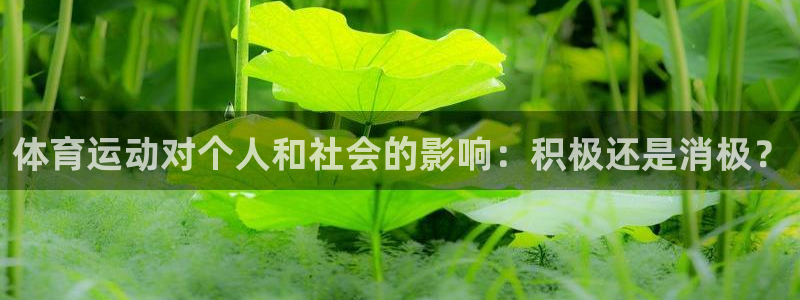 新球体育充值