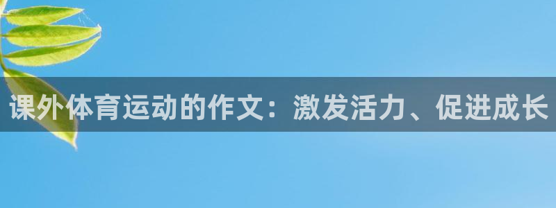 新球体育即时分