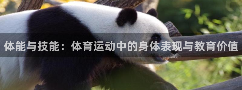 新体球即时比分新球体育