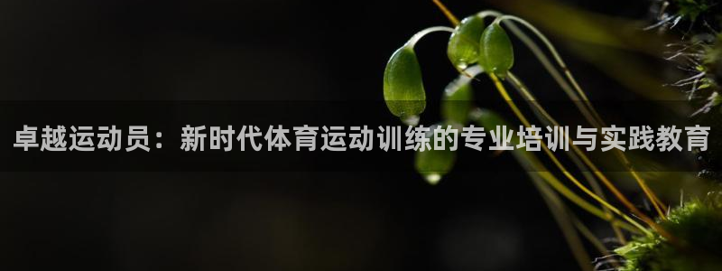 新球体育足球比分篮球比分即：卓越运动员：新时代体育运动训练的专业培训与实践教育
