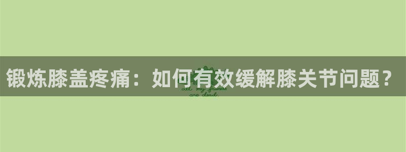 新球体育足球即时比分