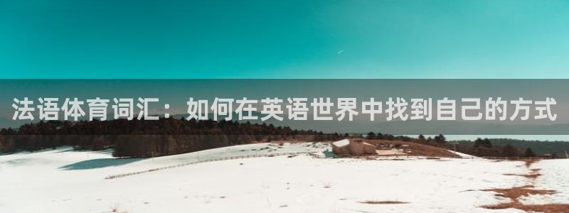 新球体育触屏版-专业足球篮球比分数据