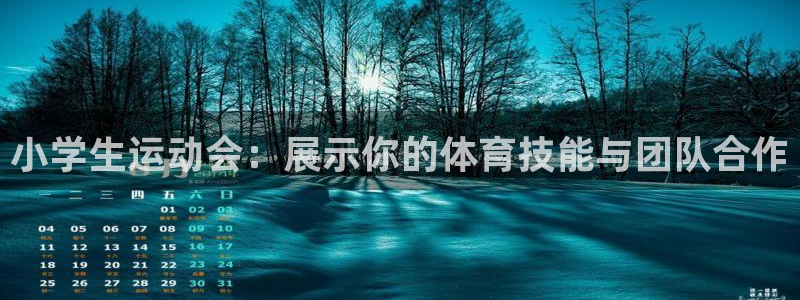 新球体育下载